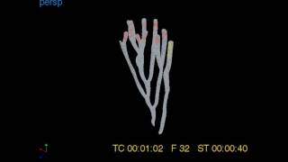 realflow work