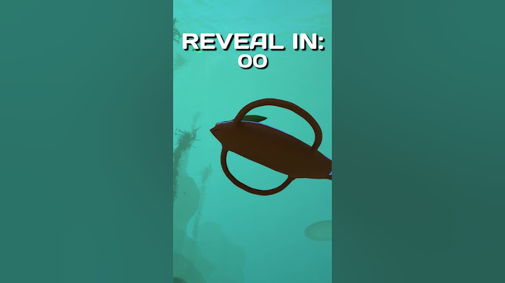 Is this VANILLA or MODDED Subnautica?