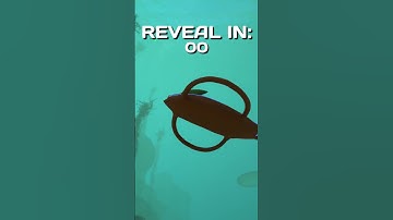 Is this VANILLA or MODDED Subnautica?