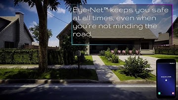 Eye Net Simulation - Pedestrian