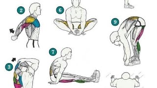 تمارين إطالات لجميع أجزاء الجسم  Stretching exercises for all parts of the body