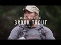 Bigotry to Brook Trout: A Watershed Moment (fly fishing film)