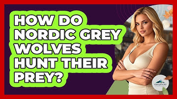 How Do Nordic Grey Wolves Hunt Their Prey?