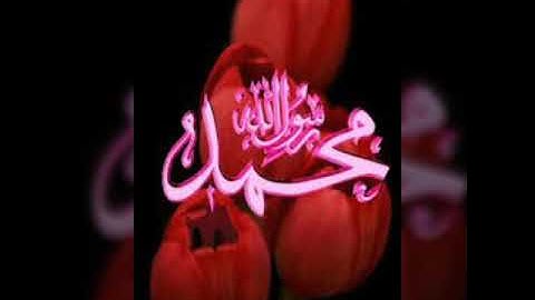 سورة الرحمن بصوت القارئ براء الجنابي