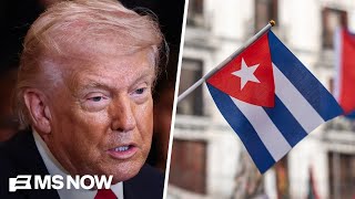 Celebrity Trump: 'Cuba is gonna fall pretty soon' Profile