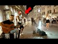 Calm Down Spanish Guitar Remix That Stops People In Their Tracks Calm Down Spanish Guitar Remix That Stops People In Their Tracks
