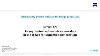 Tutorial 124 - Using pretrained models as encoders in U-Net Net Worth