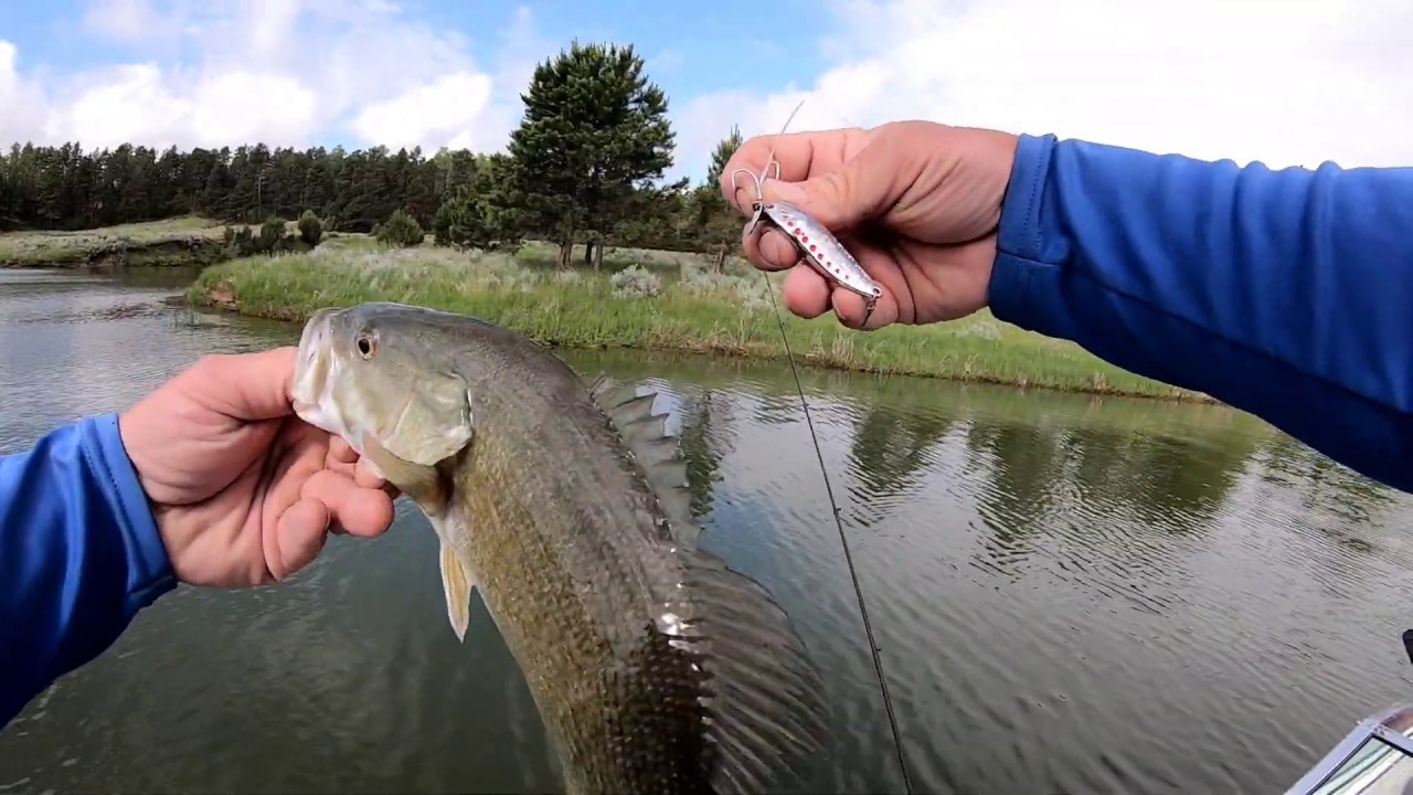 casting clam leech flutter spoons 