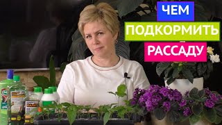 НУЖНО ЛИ КОРМИТЬ РАССАДУ? ОСНОВНЫЕ ПРАВИЛА ПОДКОРМКИ!