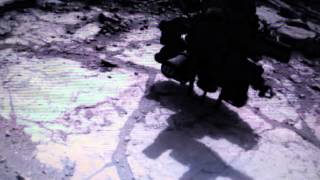 Kopernik 1543 - Bruno Truchon