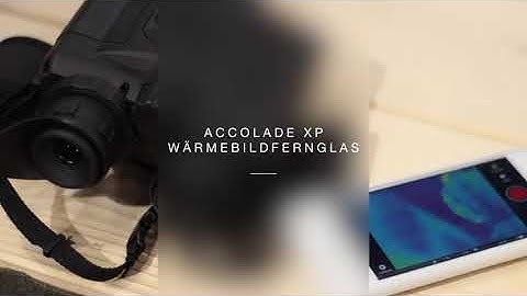 Pulsar XP50 Accolade