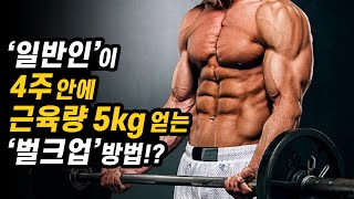 일반인이 '벌크업'으로 체격을 키우는 가장 빠른 방법!? | 4주간 근육량 5kg을 얻는 벌크업 프로그램