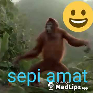 Grup WA sepi