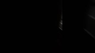 Kevin Macleodaurea Carmina