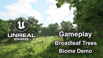 Broadleaf Trees Biome Demo | Gameplay | Unreal Engine 5.4 | Ultra Realistic Wind #unrealengine #UE5