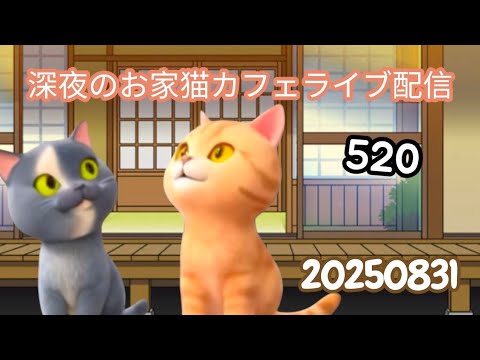 深夜のお家猫カフェライブ配信 520