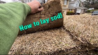How to lay sod like a PRO😎