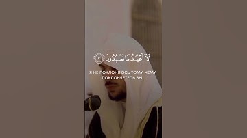 سوره الكافرون....... القارئ ناصر القطامي 🕌✨