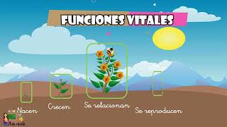 REPRODUCCIÓN SEXUAL DE PLANTAS Y ANIMALES