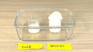 How does temperature affect the rate of a chemical reaction? #chemicalreaction #middleschoolscience