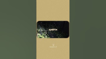 إكتب شيء تؤجر عليه💛🙂‍↔️|#محمد_أيوب #تلاوة_خاشعة #حالات_واتس #قرآن_كريم #اكسبلور #دويتو #explore