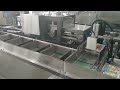 Frozen Food Product Cartoning Machine and Case Packing Machine for dumplings food