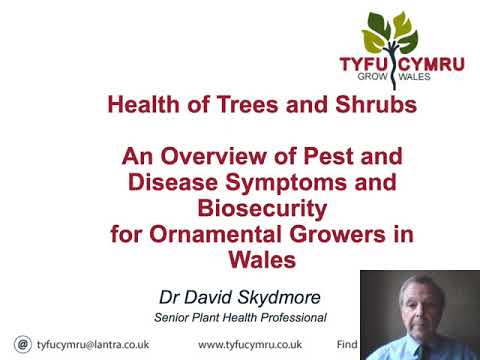 Tyfu Cymru Plant Health Webinar: Health of Trees and Shrubs