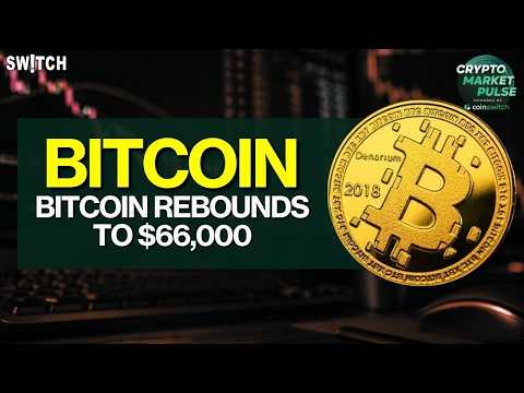 Crypto Market Pulse: Bitcoin Rebounds To $66,000 | What's Next? Powered by CoinSwitch
