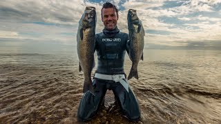 Best of UK Spearfishing 2023 year in review