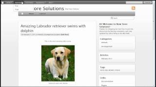 How to add a widget to a sidebar in WordPress