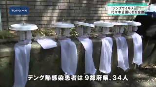 デングウイルス保有状況調査　代々木公園にわな