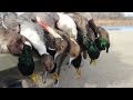 Duck Hunting Public Land: Stacked Against Us - Fowled Reality