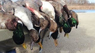 Duck Hunting Public Land: Stacked Against Us  Fowled Reality