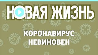 Коронавирус невиновен