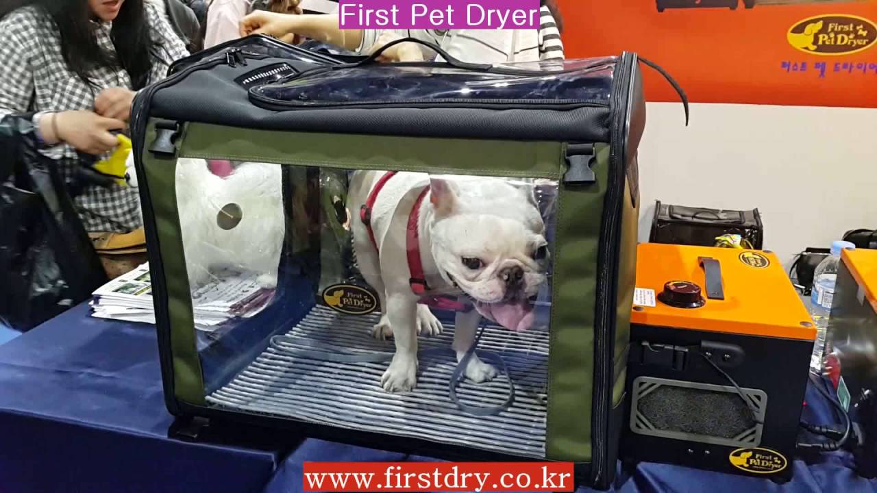 first pet dryer - YouTube