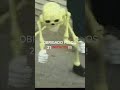OBRIGADO #roblox #cat #games #minecraft #trending #happy #happynation #subscribe #minecraft #memes