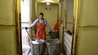 New Bedford Fishermen