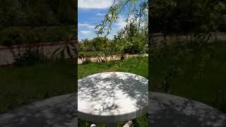 Güzel Bahçem12