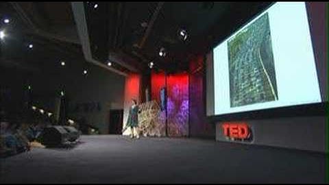 Erin McKean: The joy of lexicography