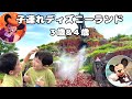 【子連れディズニーランド】タイムスケジュールと過ごし方紹介
