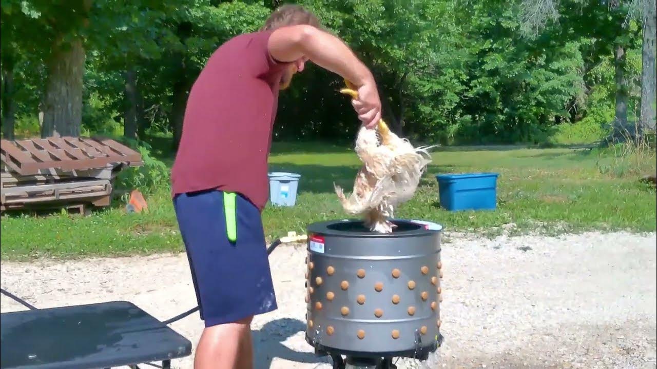 Yardbird Chicken PLUCKER!! How well does it work?? YouTube