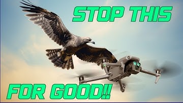 Stop Birds Attacking Your Drone With These THREE Things!!