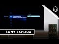 Sony | Suporte | TV | Como utilizar o BRAVIA Sync