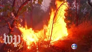 Why You Should Be Worried About The Fires Raging In The Amazon