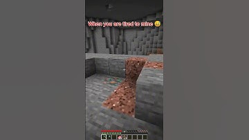 He found diamonds… then ATE the pickaxe 💀🤣 | Minecraft Meme #Shorts