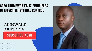 COSO Framework’s 17 Principles of Effective Internal Control