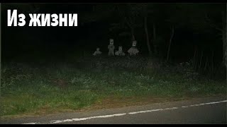 картинка: Из жизни, бытовые. Из жизни, бытовые. Страшные. Мистические. Творческие истории. Хоррор