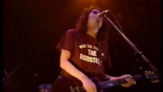 ROCK'N'ROLL GYPSIES / RESPECTABLE ROOSTERS LIVE 1999.5.29