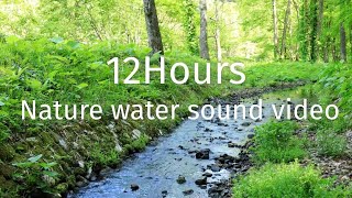鮮やかな緑の中で流れるせせらぎ　自然の水の音　12時間　眠り　作業用　癒される環境音 4K　｜　Relaxing Nature Water Sound Video 12Hours by Relaxing BGV / 日本の水の音と映像channel 72 views 8 days ago 12 hours