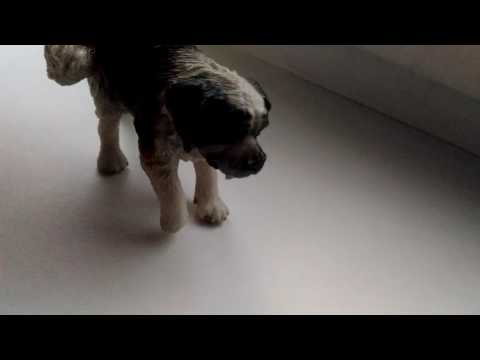 Новоселье в доме Бобби \ 7 серия 1 сезон (сериал Schleich)